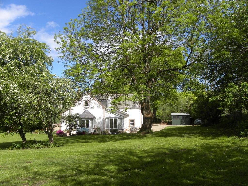 a white house with a large tree in the yard at 3 Bed in Turriff 75489 in Turriff