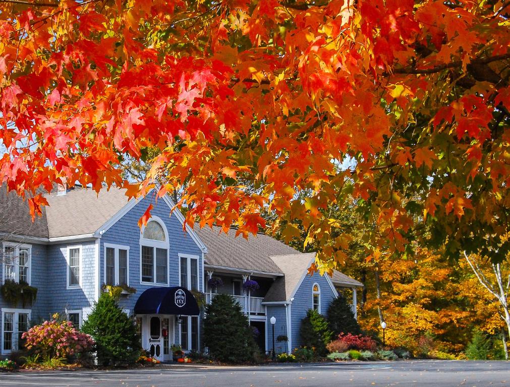 Cod Cove Inn, BW Signature Collection-Boothbay Harbor Area — photo 14
