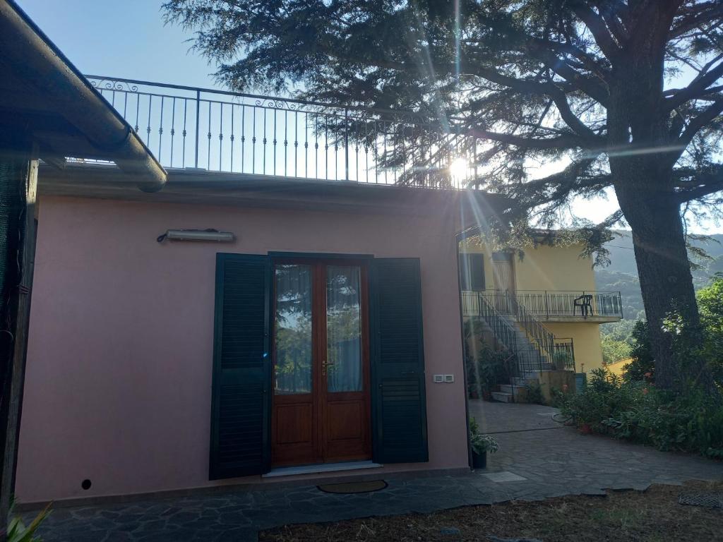 a house with a brown door and a tree at Da Beatrice in Marciana Marina