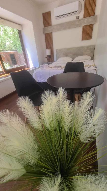 a room with a table and a bed and a plant at Alojamiento Borde Río habitación in Concepción