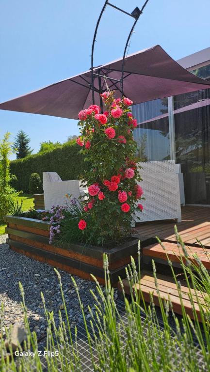 a planter with red flowers in front of a house at Ubytování pod Třešní in Telč