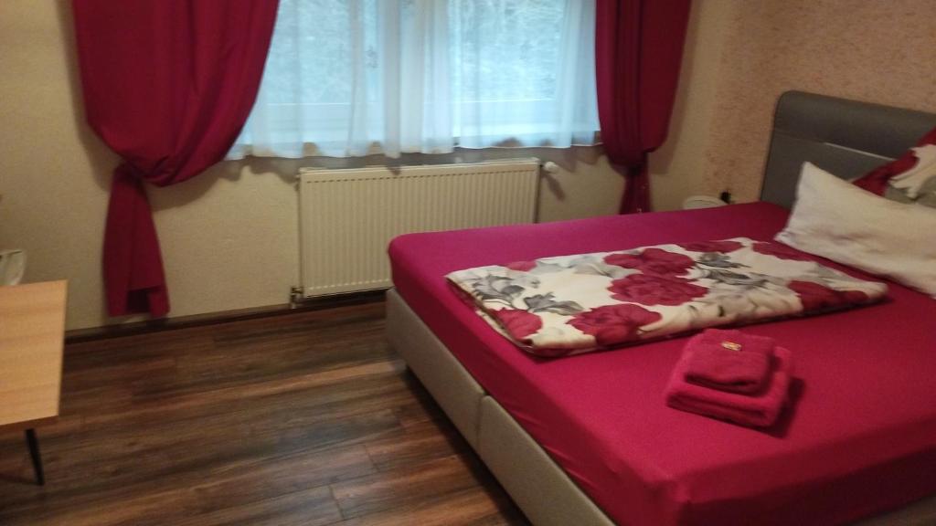 Pension & Ferienhütten Zur Alten Werft - Chambre Simple Avec Salle De Bains Privative