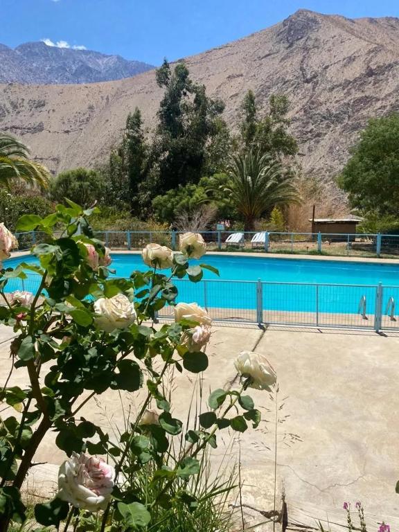 a view of a swimming pool with mountains in the background at Cabañas Pisco Elqui in Pisco Elqui