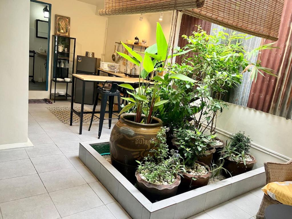 a group of potted plants in a living room at Bali Style Rooftop Apartment in Bangkok