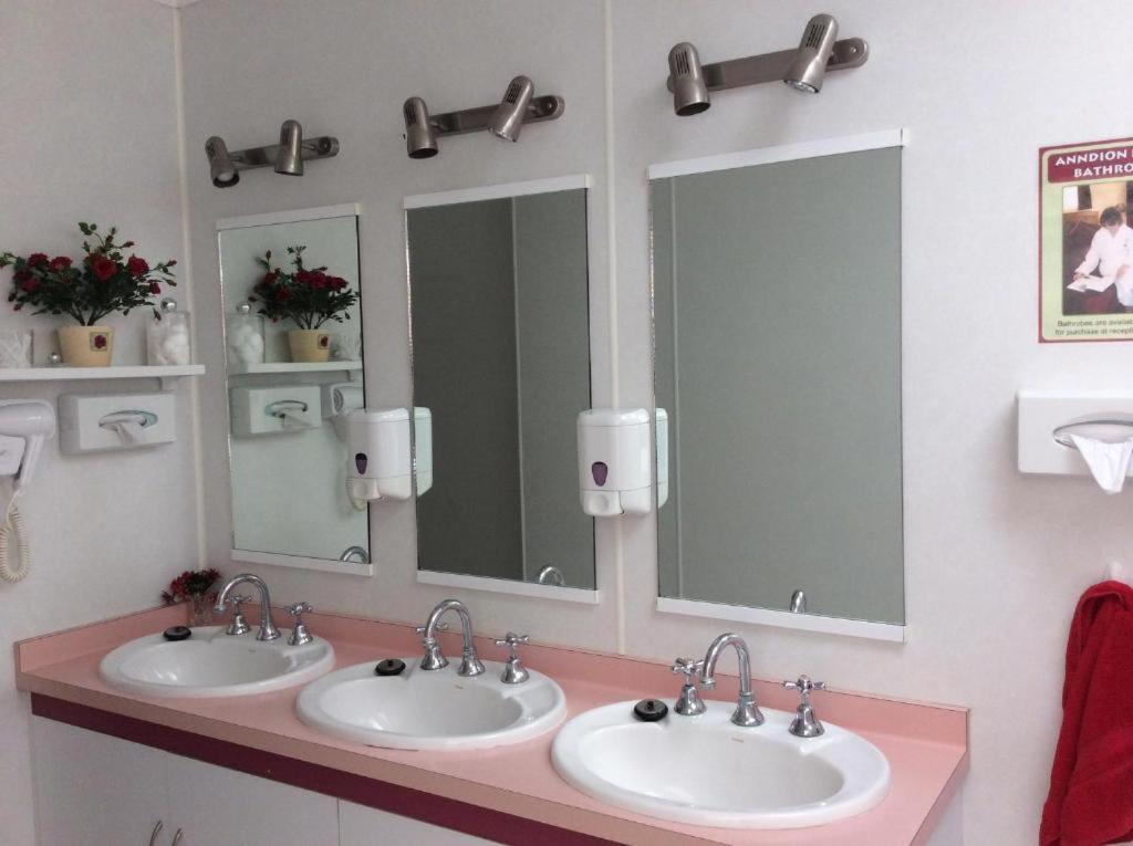 Anndion Lodge Motel & Conference Centre - Resim 7