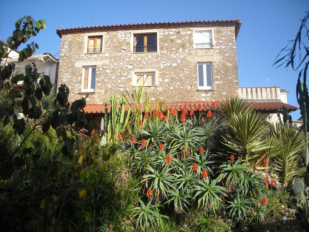 パリヌーロにあるGigia's Houseの植物がたくさん立ち並ぶ建物