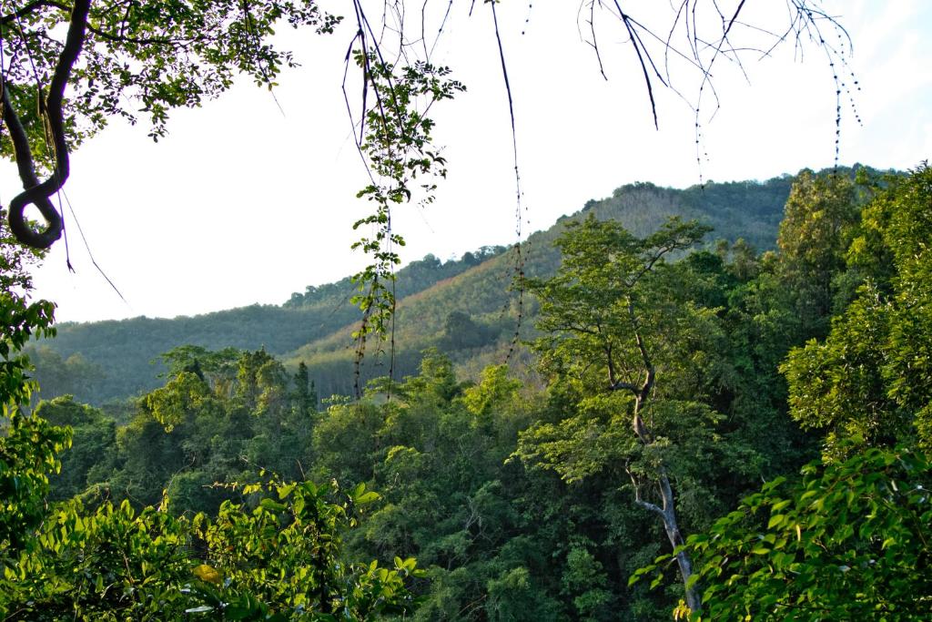 Chestnut Hill Eco Resort Had Yai - Resim 32