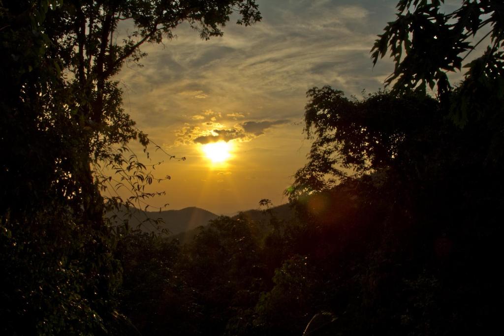 Chestnut Hill Eco Resort Had Yai - Resim 35