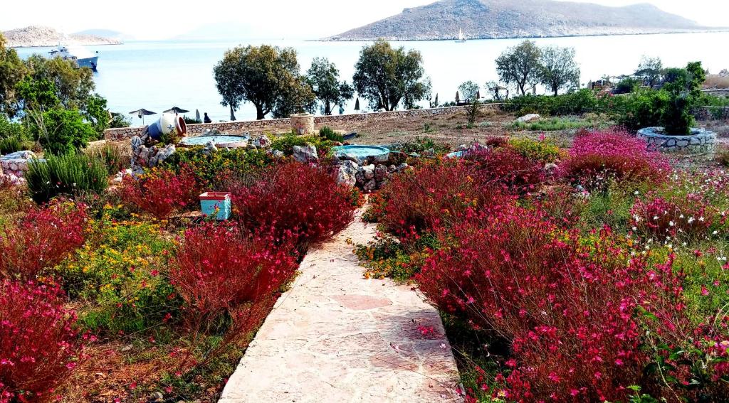 a path through a garden with red flowers at Villa Romanza beach villa in Halki