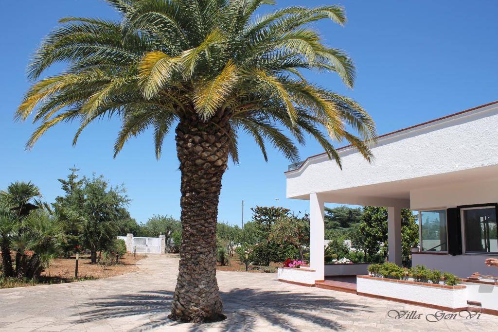 a palm tree in front of a building at Villa GenVì - casa vacanza in Polignano a Mare