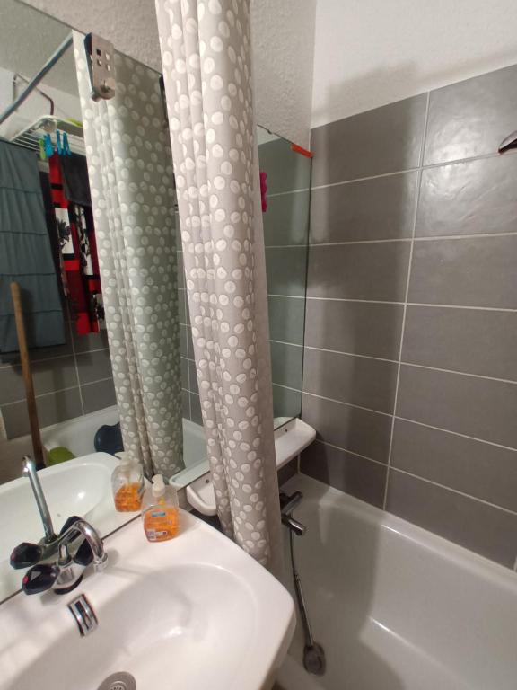 Koupelna v ubytování Appartement a la Montagne