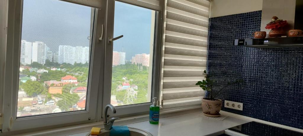 a kitchen with a sink and a window with a view at уют in Dobrovelychkivka