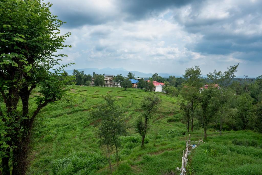 een groen veld met huizen op een heuvel bij Nature's View Kandwari in Pālampur