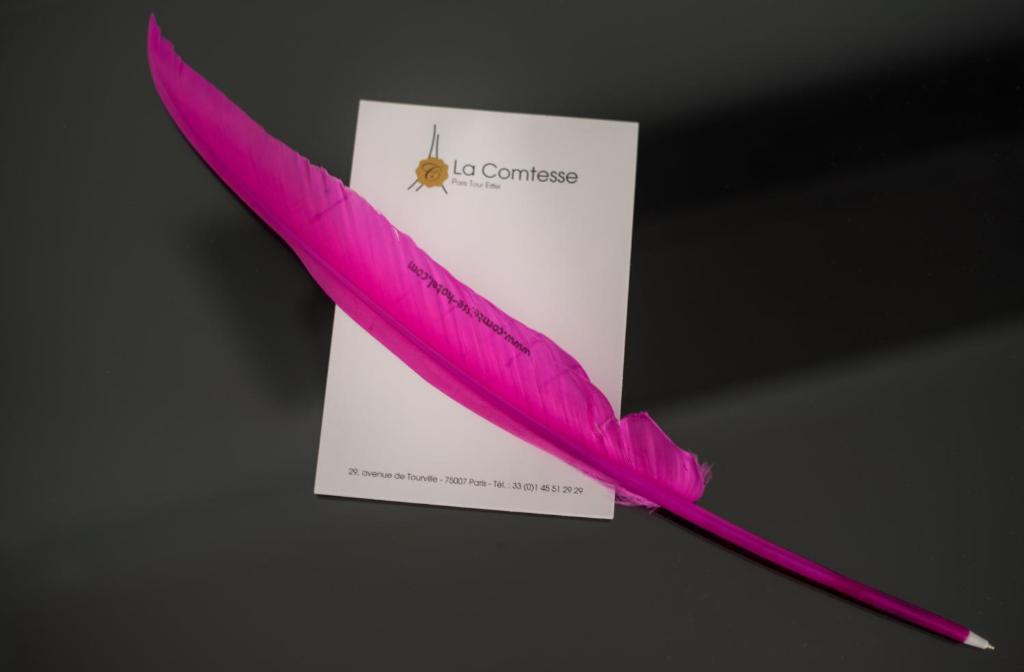 Hôtel La Comtesse - Resim 21