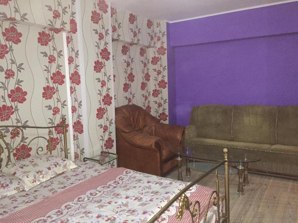 ein Wohnzimmer mit einem Bett und einem Sofa in der Unterkunft Ultracentral apartament Bacau in Bacău