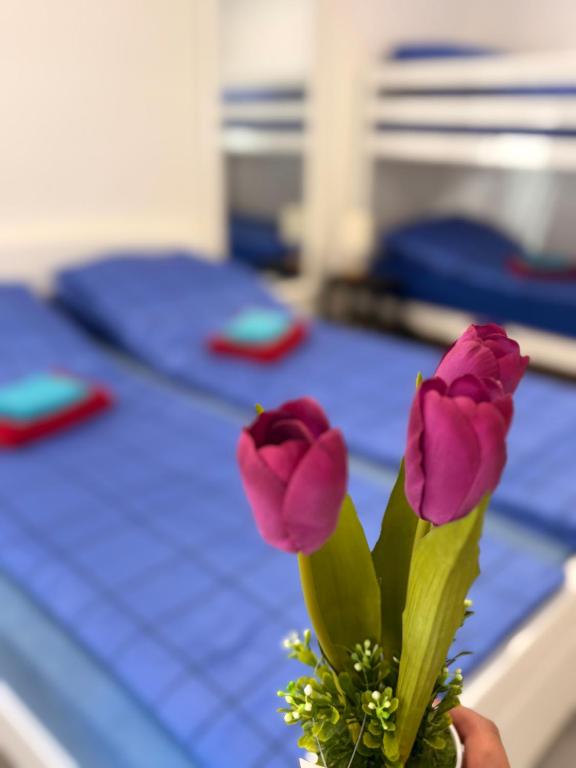 Best of Bascarsija apartments - 