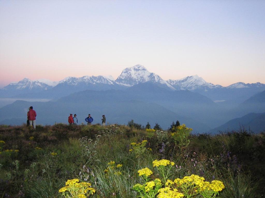 Paesaggio naturale nelle vicinanze dell'affittacamere