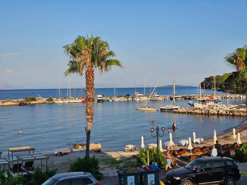 a palm tree and a body of water with boats at Coco's Corfu Apartments in Ipsos