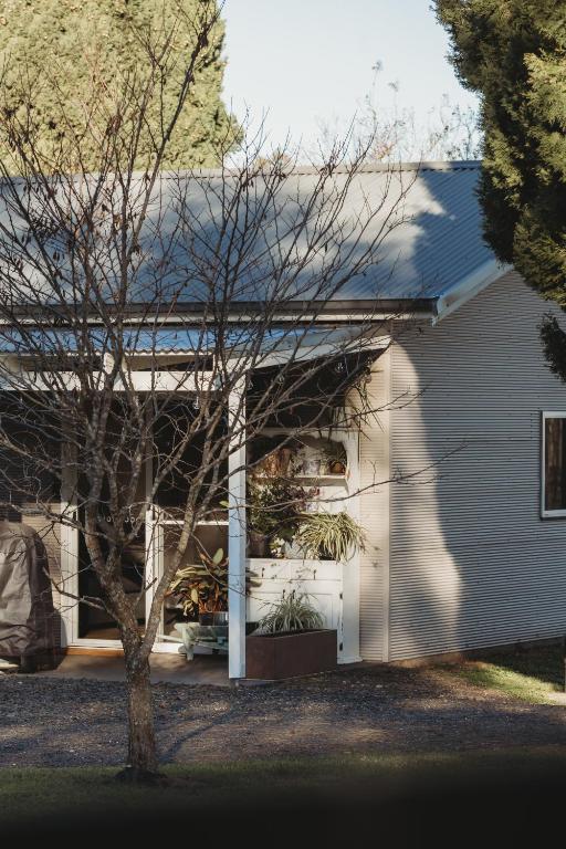 a white house with a garage and a tree at Glenoak Cottage in Sparkes Creek