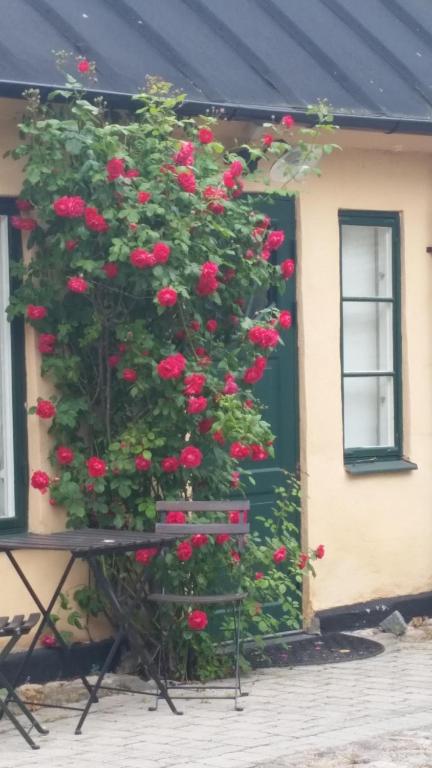 Zahrada ubytování Lilla Hotellet