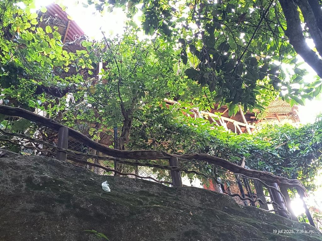 Zahrada ubytování Sierra Tayrona hostel