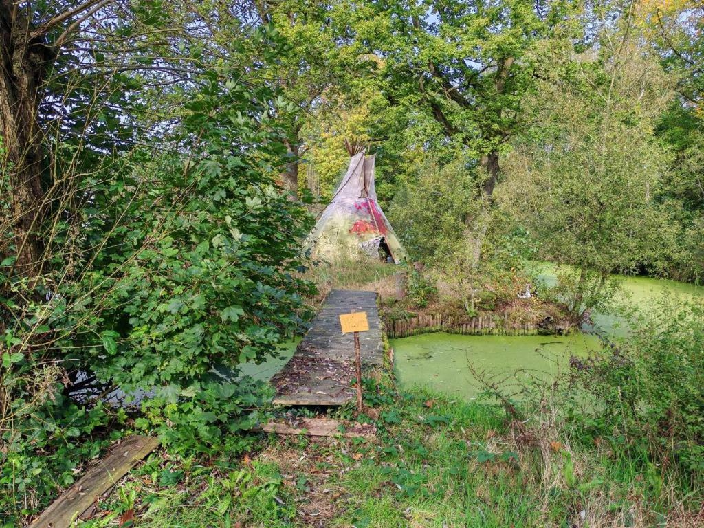 Φωτογραφία από το άλμπουμ του Rising Sun tipi met vuur in de natuur σε Nederweert-Eind