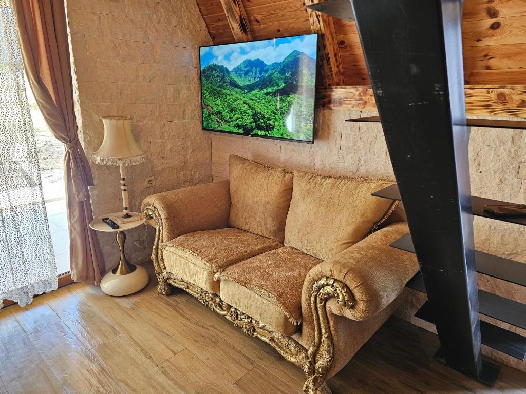 a living room with a couch and a tv on the wall at Malii Rajj Žabljak in Žabljak