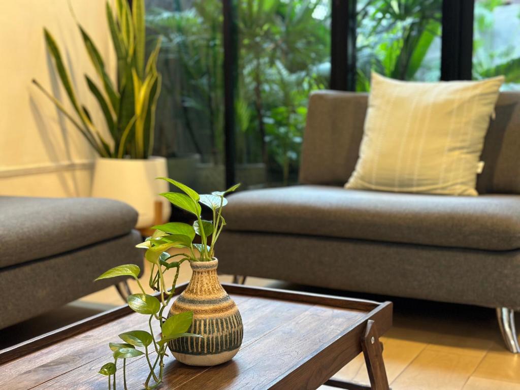 A softly furnished lounge with a wooden coffee table and leafy greenery.