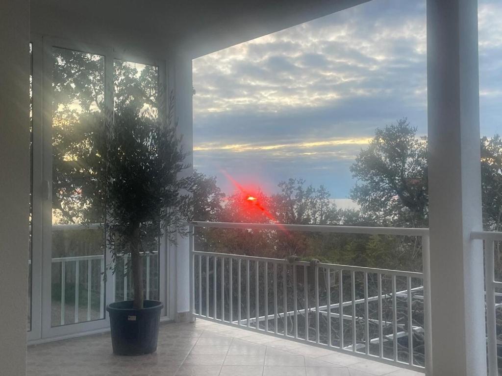 Fotografie z fotogalerie ubytování Villa Mirijana v destinaci Zlatna Obala