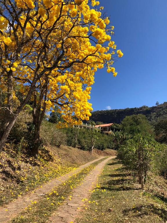 Pousada Lambari Montanha Hotel