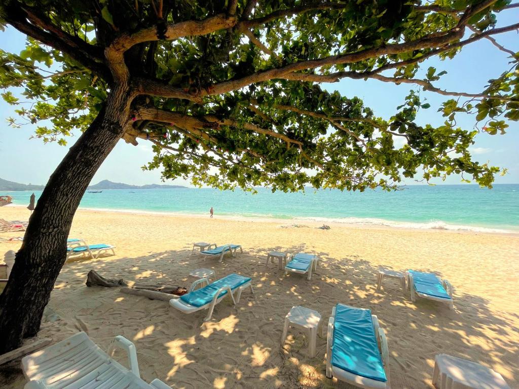 Landskap semula jadi dekat dengan resort