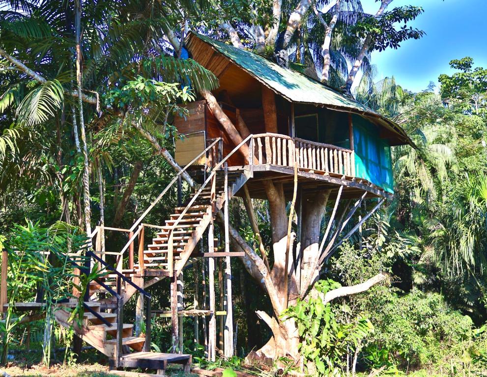 a tree house in the middle of a forest at Reserva Natural Natura Park in Puerto Nariño