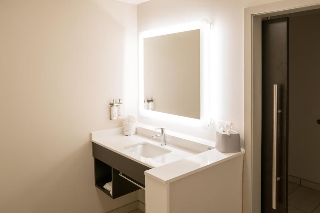 Holiday Inn Express & Suites Franklin - Berry Farms by IHG - Camera King Standard Con Vasca Per Ospiti Disabili
