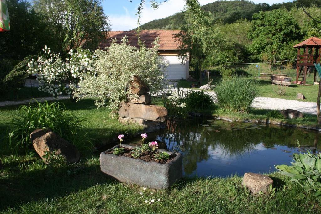 Příroda nedaleko venkovského domu