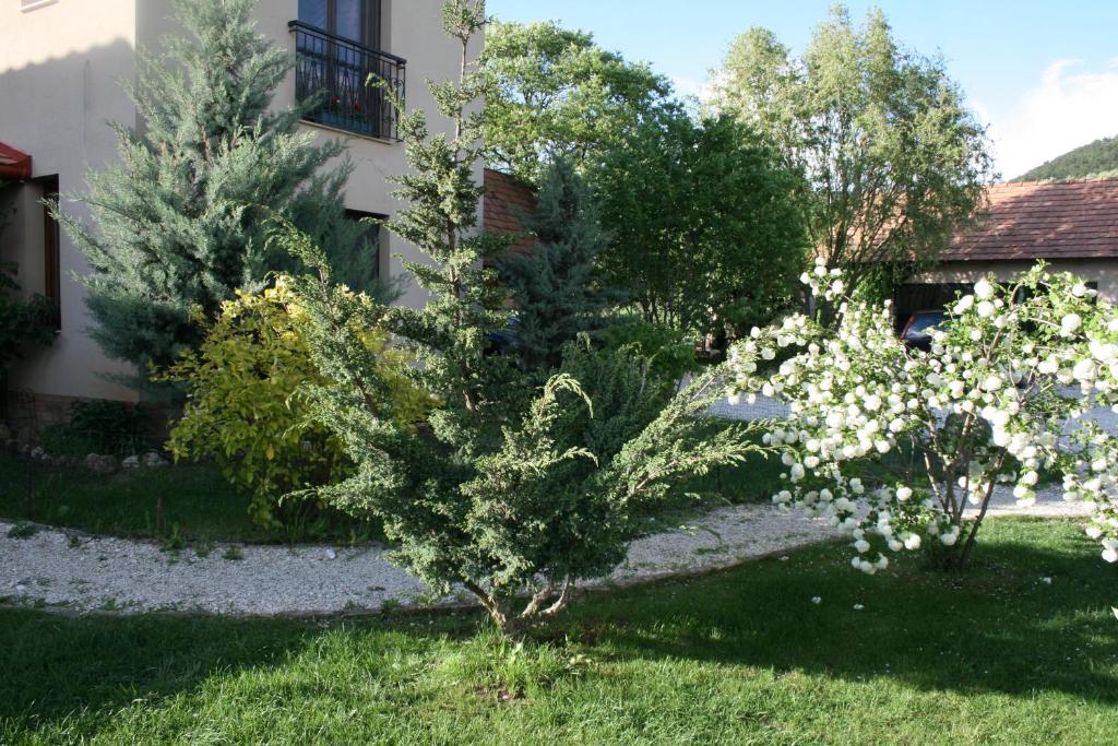 Zahrada ubytování Malomdűlő Farmház