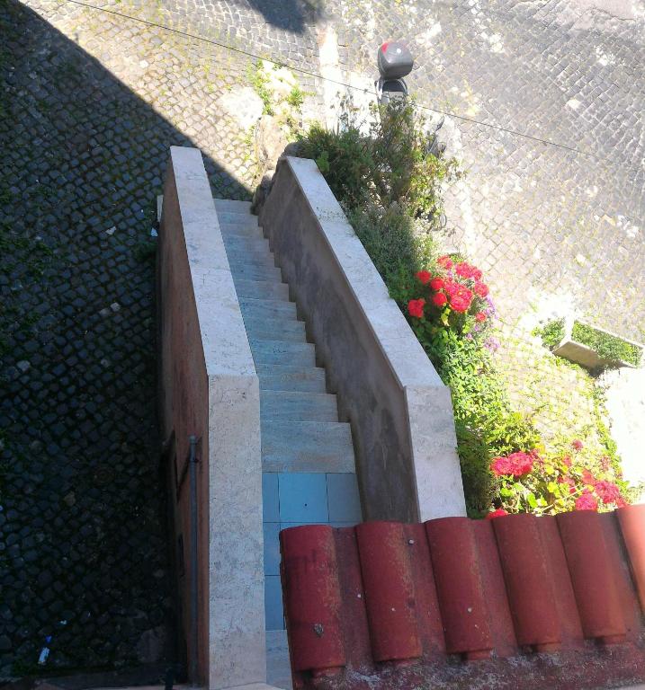 A garden outside Il Melangolo