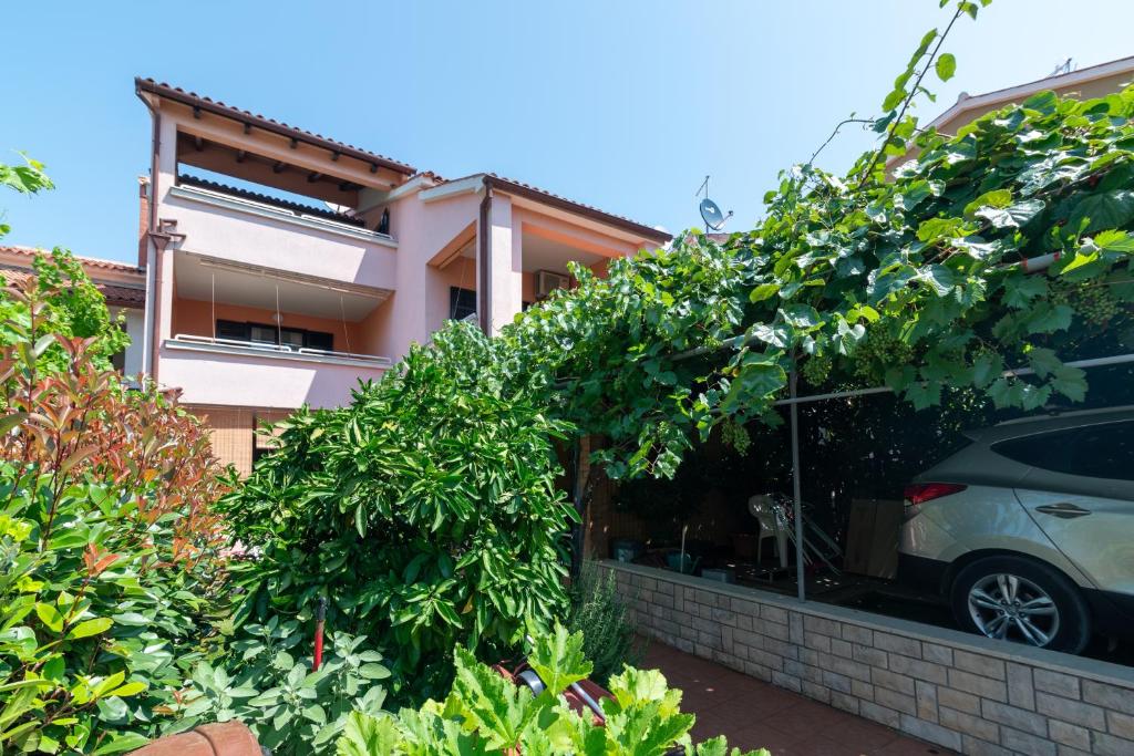 Apartments with WiFi Stinjan - Pula - 24743