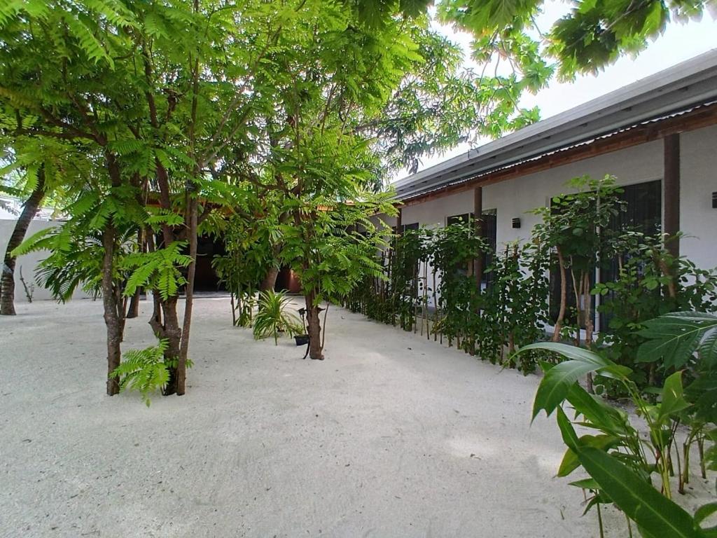 Navaya Dhiffushi - View 17