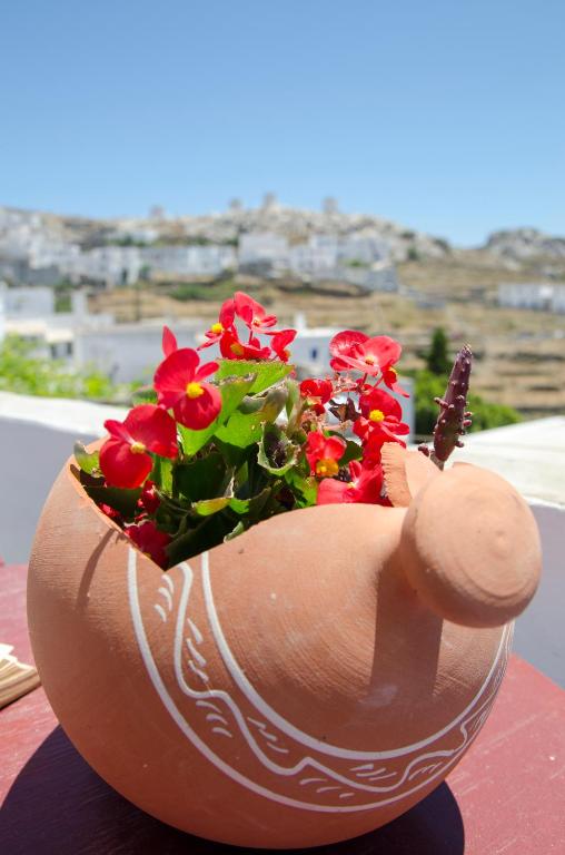 a pot with flowers in it sitting on a table at Pension Hlias - Chora Amorgos in Amorgos
