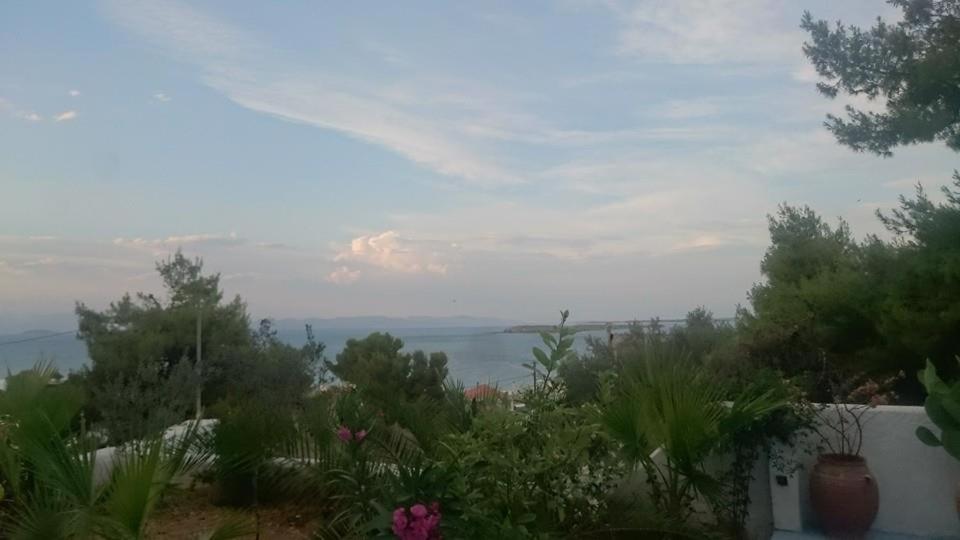 Φυσικό τοπίο κοντά σε αυτό το ξενοδοχείο διαμερισμάτων