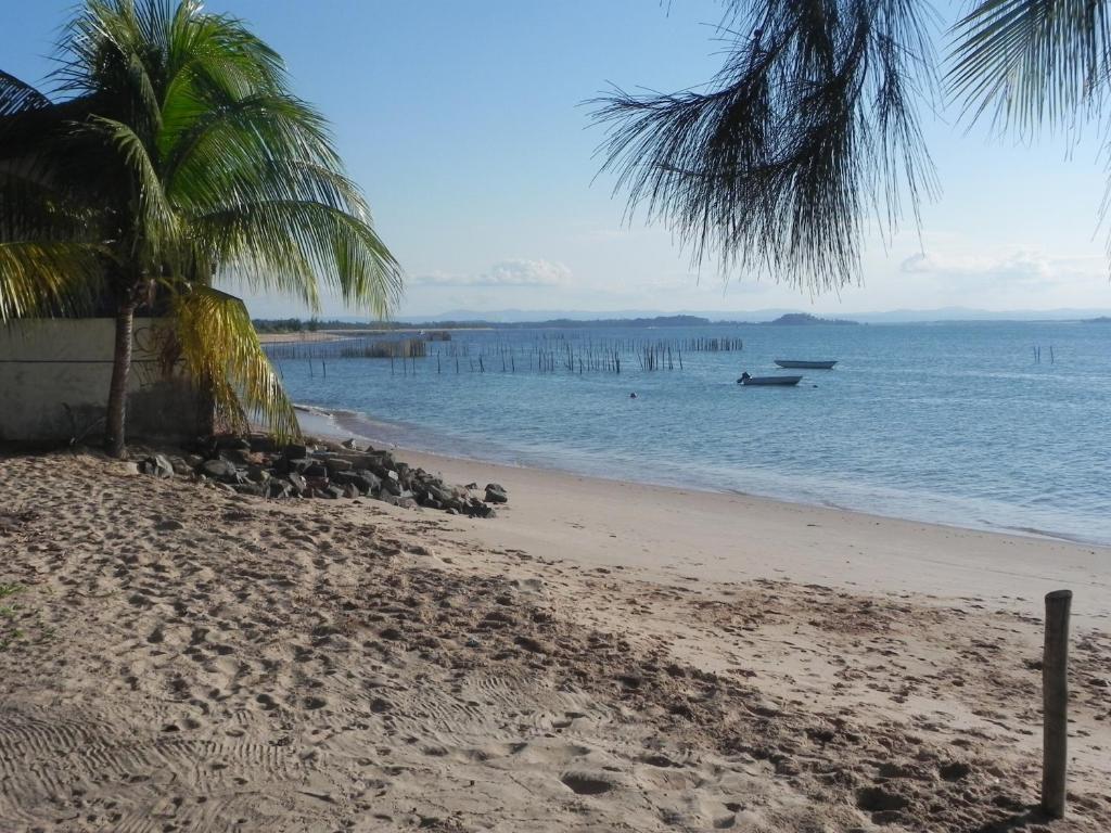 a beach with a palm tree and a boat in the water at Vila Do Pescador in Barra Grande