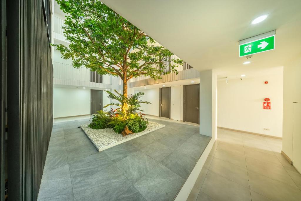 SHIN Patara Living Hotel - Resim 8