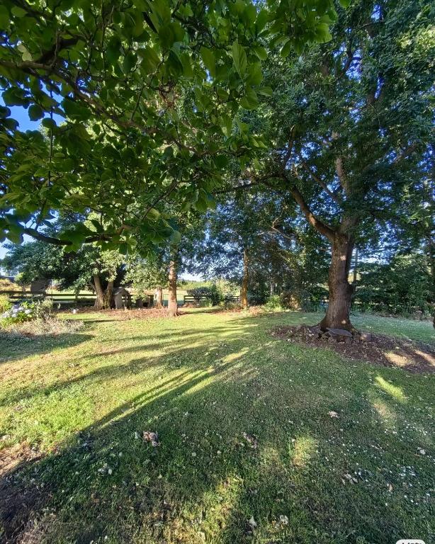 Cozy 3 ?????? - Resim 11