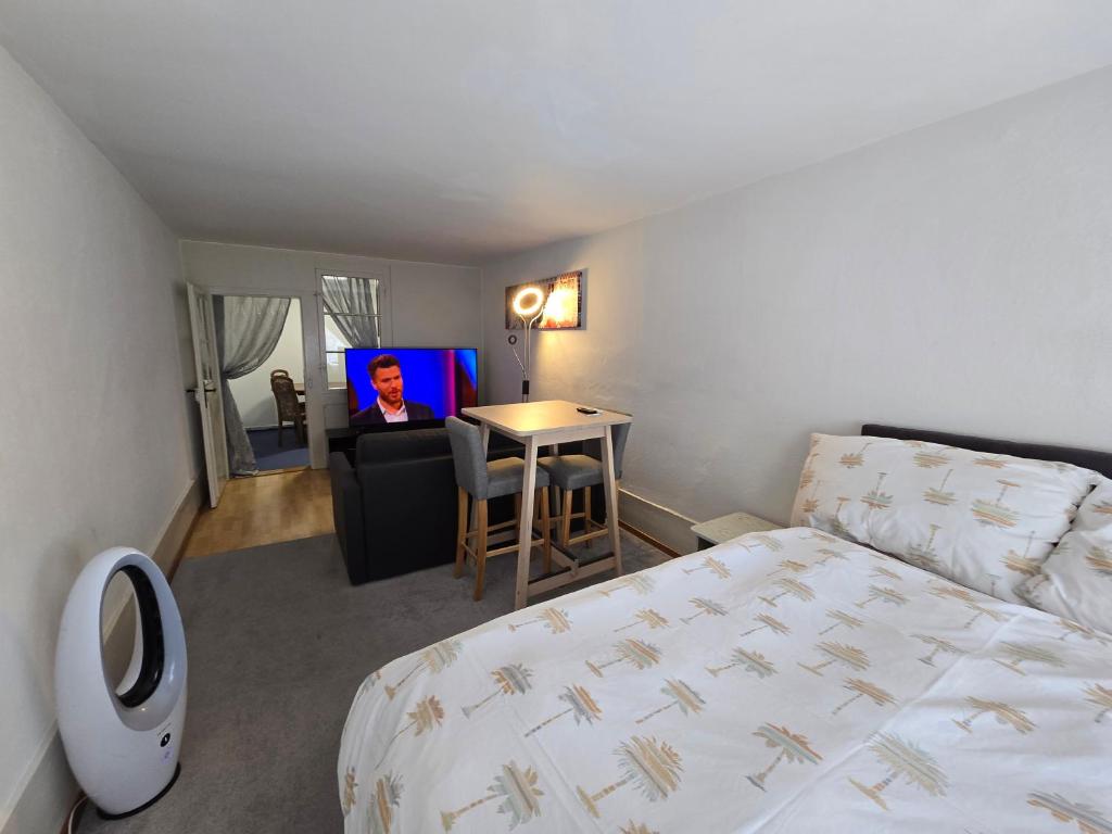 Real Swiss Classic Apartment & Up to 7 Seats Cars Rental Option - Resim 2