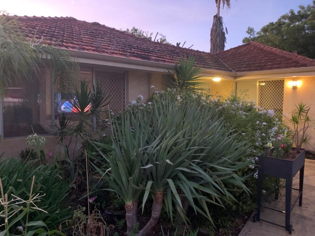 パースにあるSerenity stayの前庭植物家
