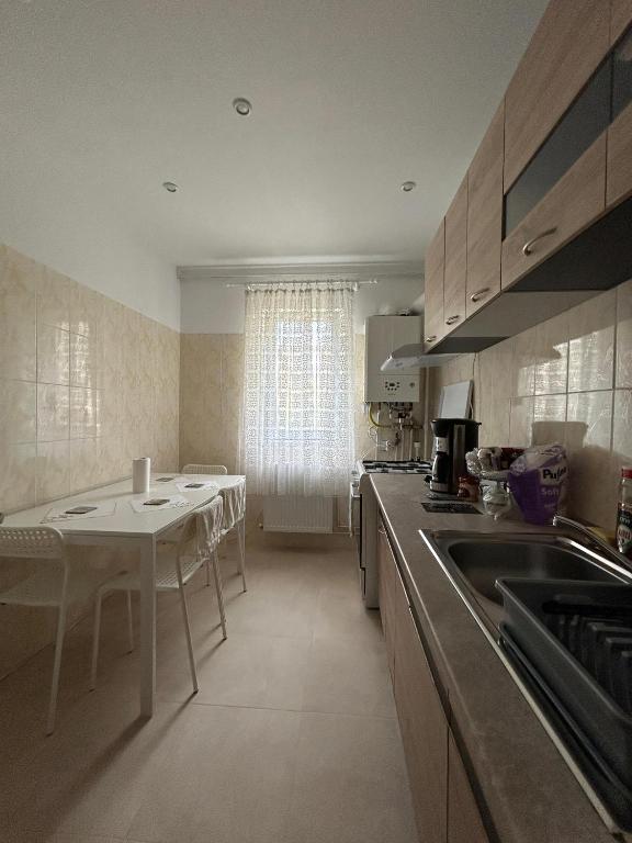 a kitchen with a sink and a table with chairs at City Apartment in Târgu Ocna