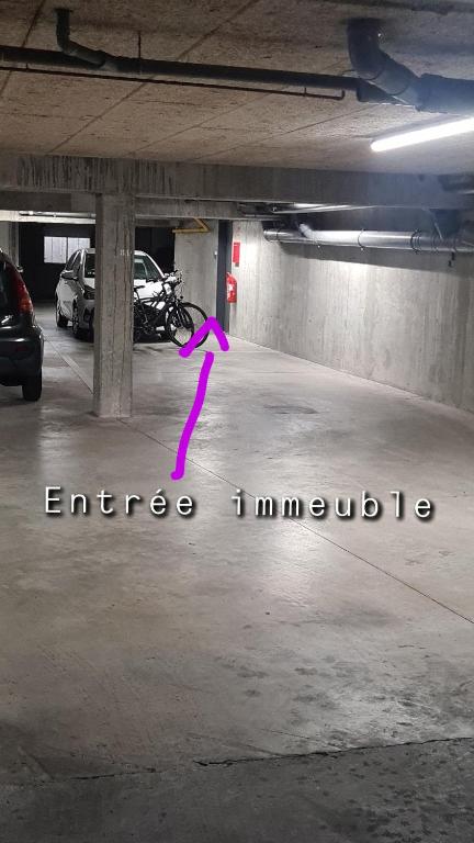 T1 hyper centre Saint-Louis "L'orchidée " free parking – photo 43