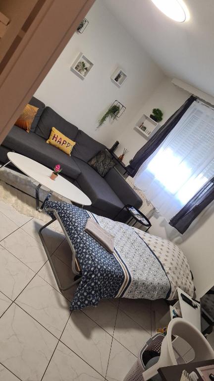 T1 hyper centre Saint-Louis "L'orchidée " free parking – photo 24