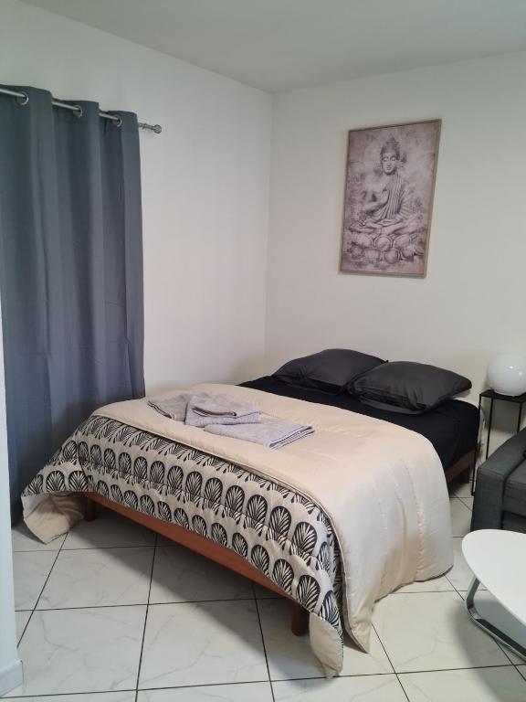 T1 hyper centre Saint-Louis "L'orchidée " free parking – photo 22