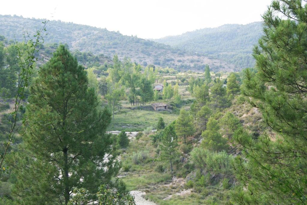 Paisaje cerca de este apartamento